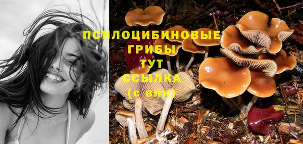 герыч Кулебаки
