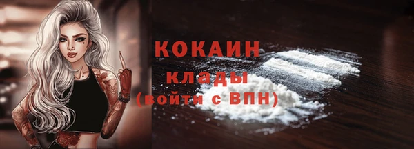 винт Арсеньев