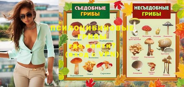 мдпв Армянск