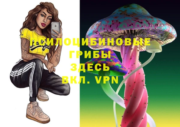 МДПВ Аркадак