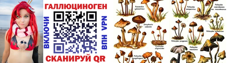 Псилоцибиновые грибы мухоморы  Талдом 